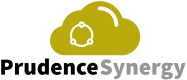 Synergy Logo